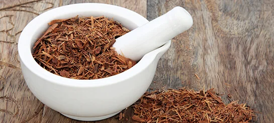 Pure yohimbine Bark Extract quebrachine Aphrodyne Yocon Yohimbe Pausinystalia yohimbe manufacturer from india