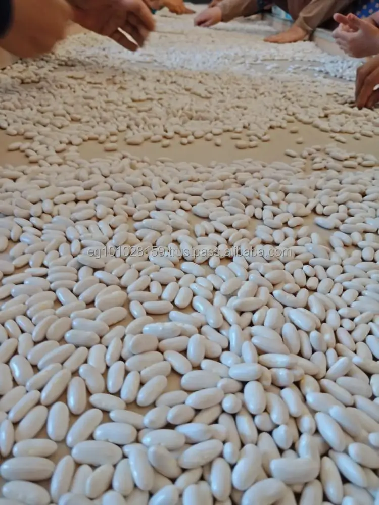 
Egyptian white kidney beans 