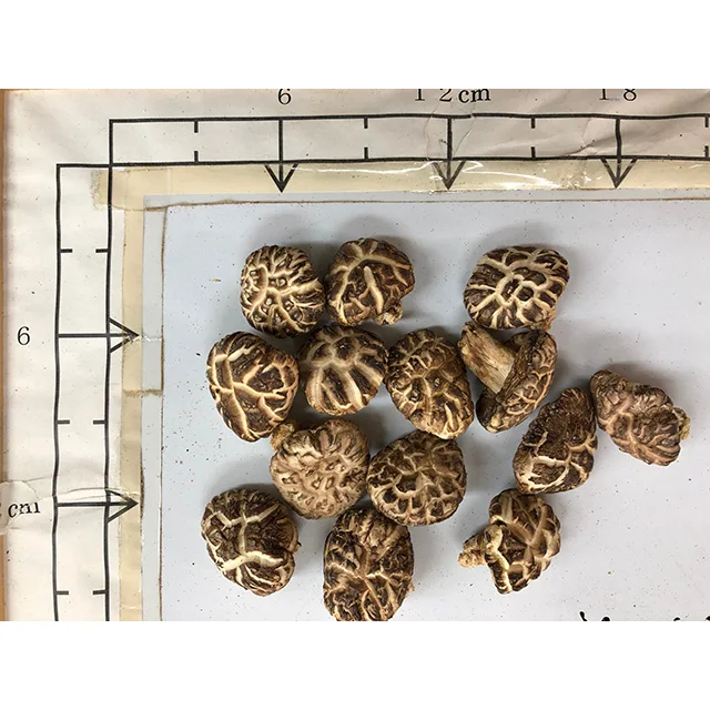 
Dried M size White flower donko-shiitake for longevity secret 