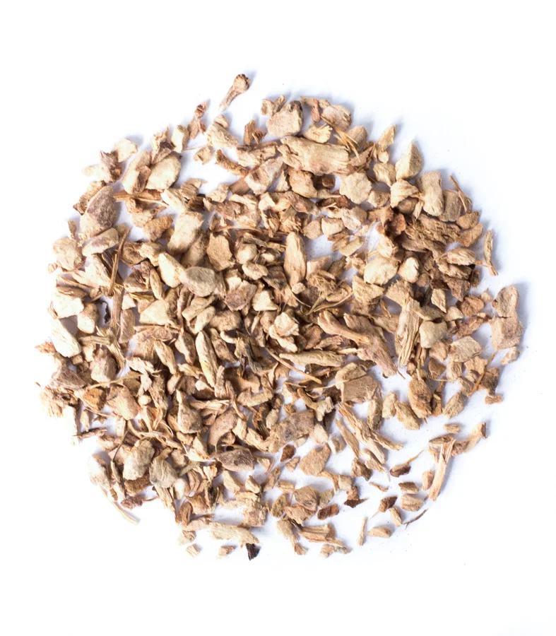 The Lesser Galangal Root Slice - Alpinia officinarum Hance