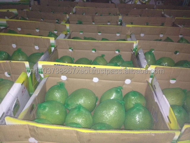 Good quality best price Vietnamese pomelo grapefruit 2021