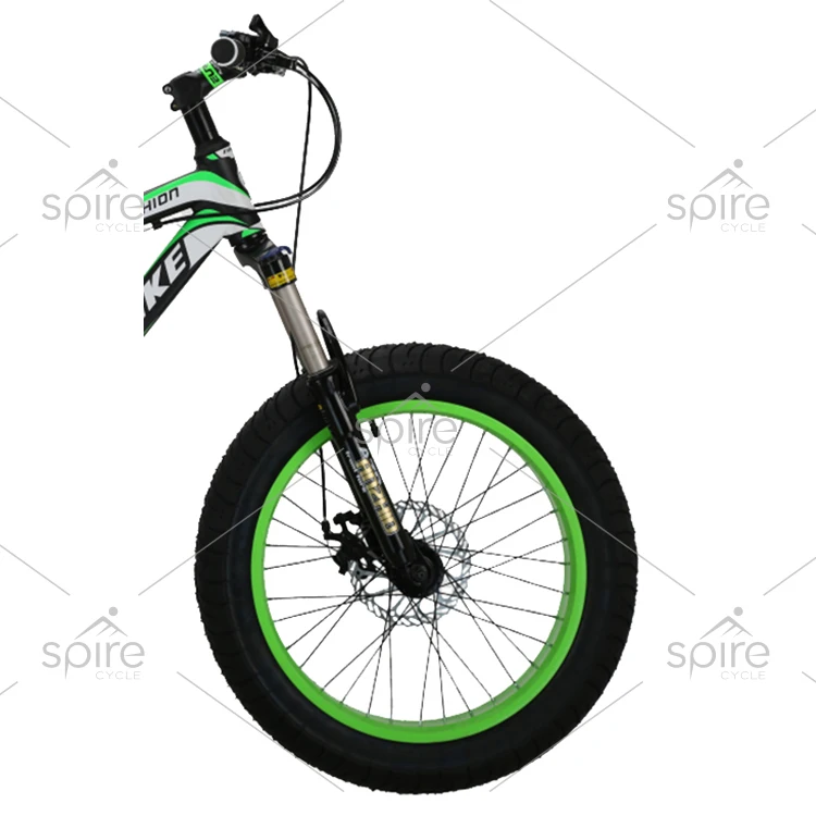 chinese classic 20 inch alloy frame fat tire bikes from Taiwan