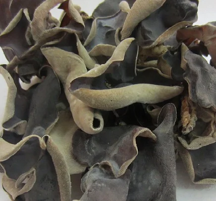 Best price New dried black fungus food grade from VietNam/ whatsapp +84 845 639 639