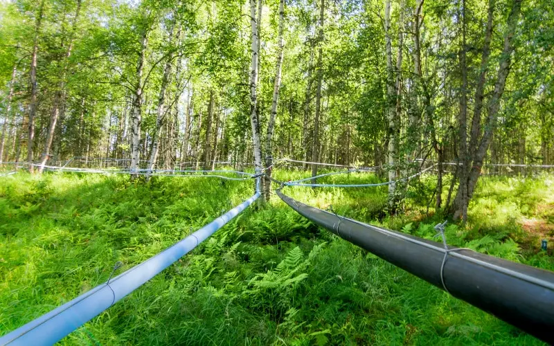 
Premium Healthy Drink And Fresh Juice Birch From Belarus 100% Organic Fruit Juice Drink 