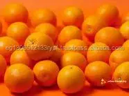 
fresh high quality orange for sale 
