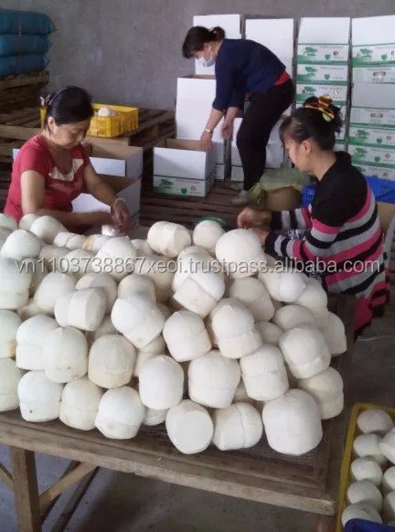 organic coconut water/fresh coconut/vietnam fresh coconut in 2020