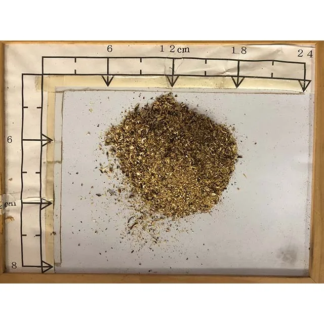 
Typical Delicious Brown Dried Shiitake powder for longevity secret 