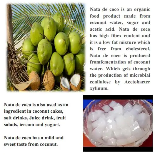 Отлично-ната де коко-Хелен TL + 84374288086