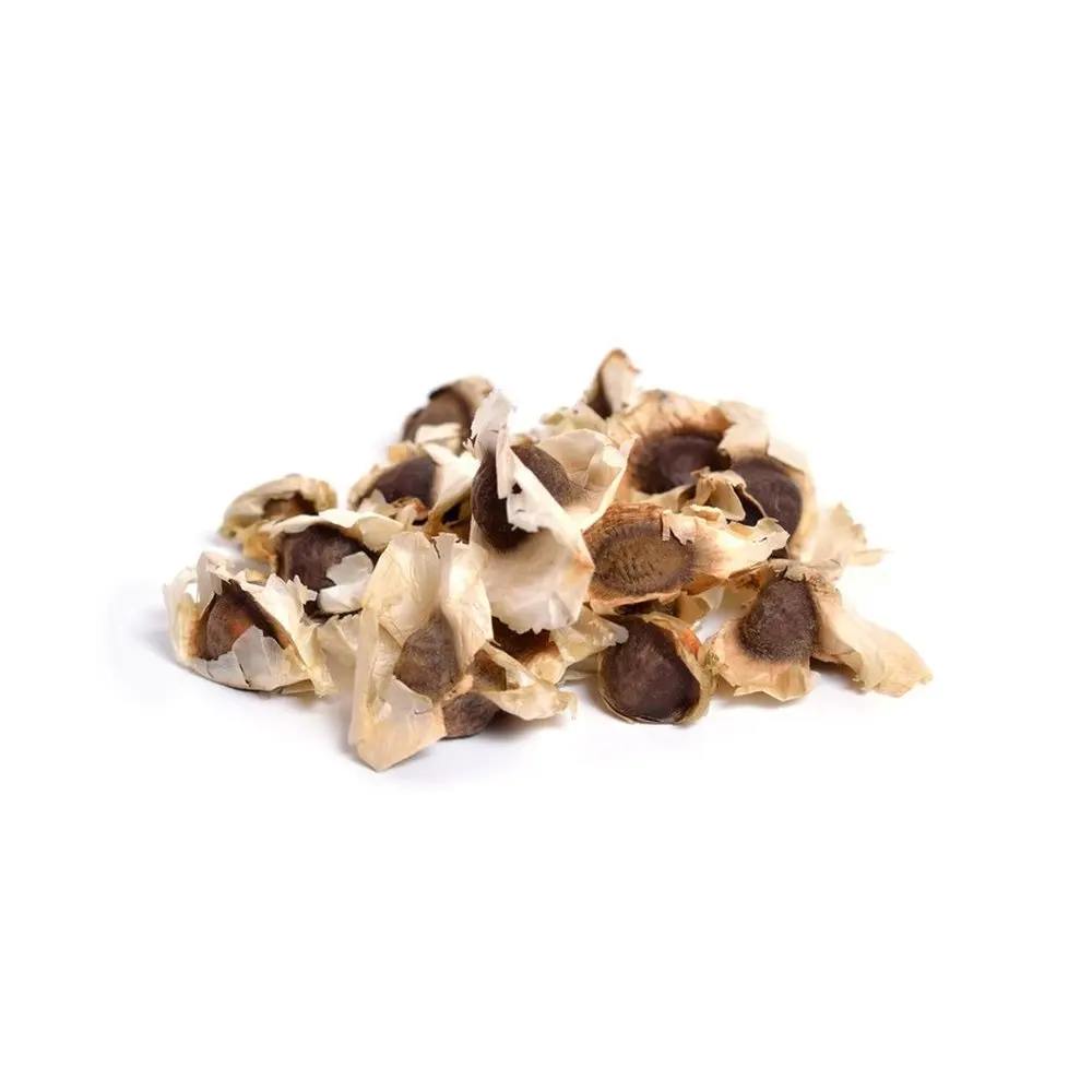 Professional Moringa Seed supplier