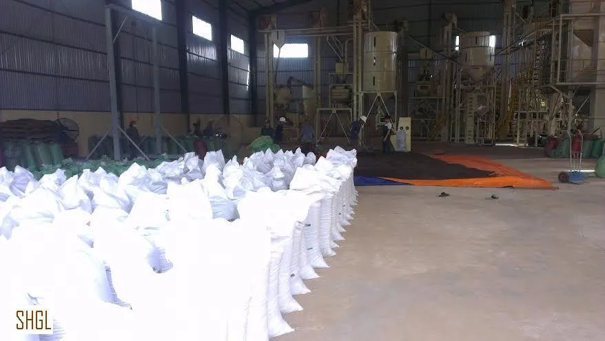  Черный перец 550 г/л очистка из Вьетнама