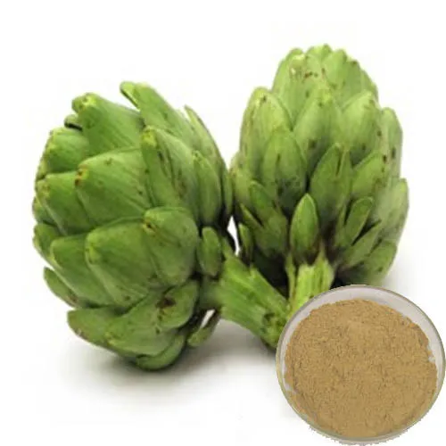 Сушеный цветок артишока-сушеный