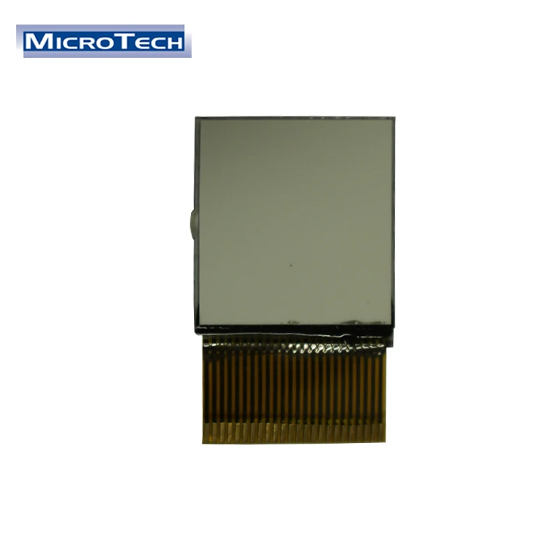 0.8 Pitch Microtech Industrial Application Display 21.0x24.0 Customized Interface and IC 24 Pin Segment LCD Panel