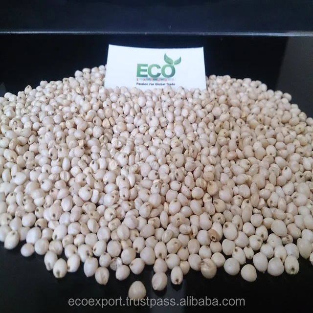 Молочный белый сорго