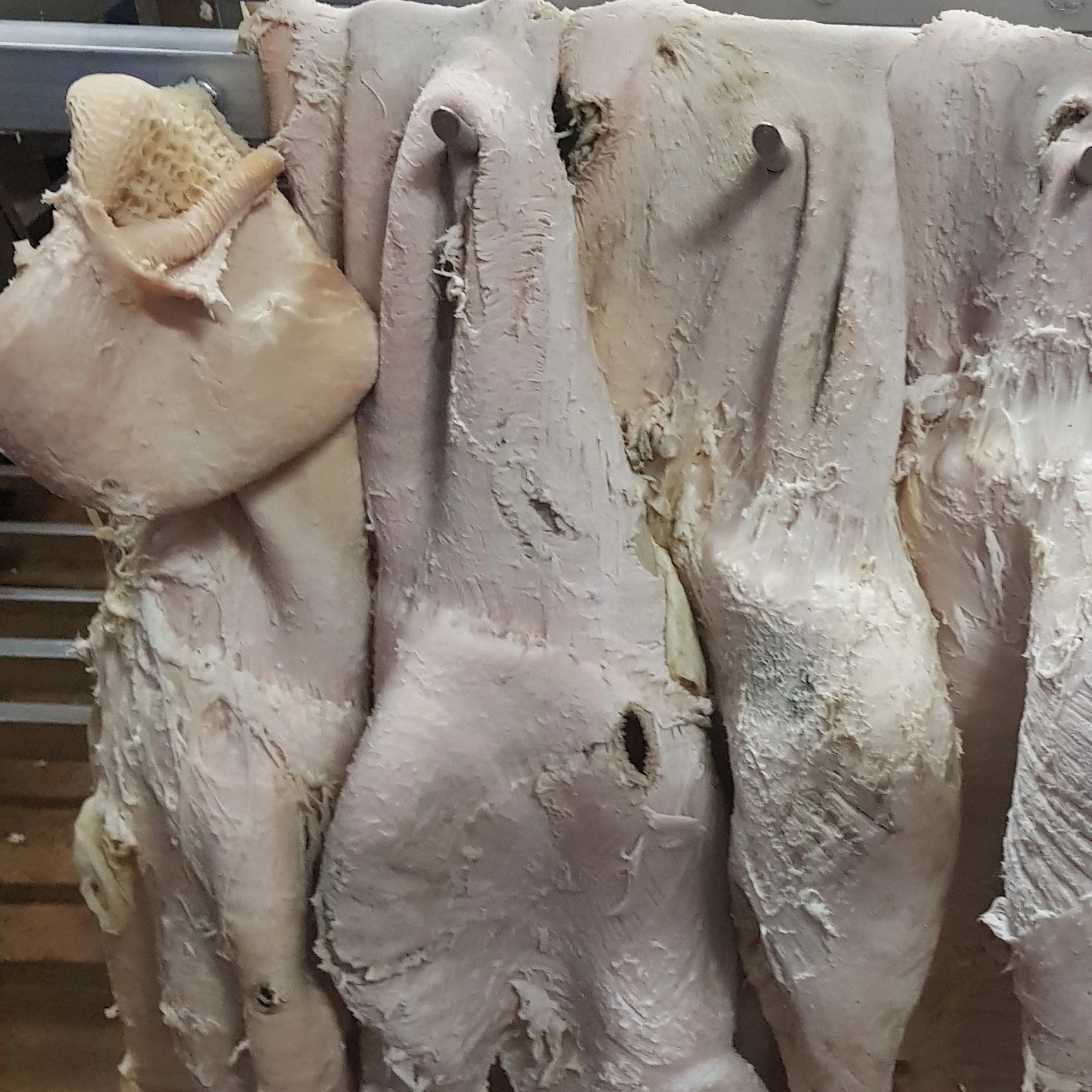 FROZEN BEEF TRIPES WITH HONEYCOMB SCALDED