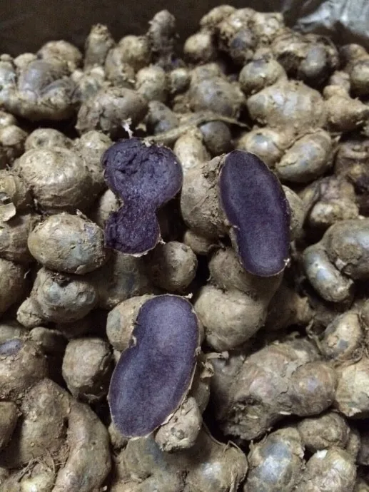 Dried Ginger Slice/Dried Sliced Black Ginger WHATSAPP +84-845-639-639