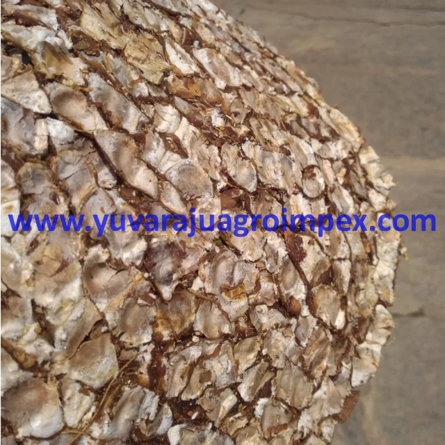 Бессаженные экспортеры тамаринда из Индии в Мексику/Доминиканскую Республику/Объединенные Арабские Эмираты