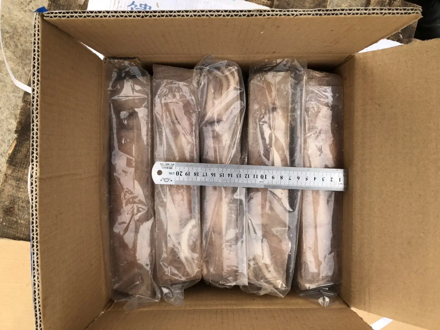 Block frozen illex squid whole round