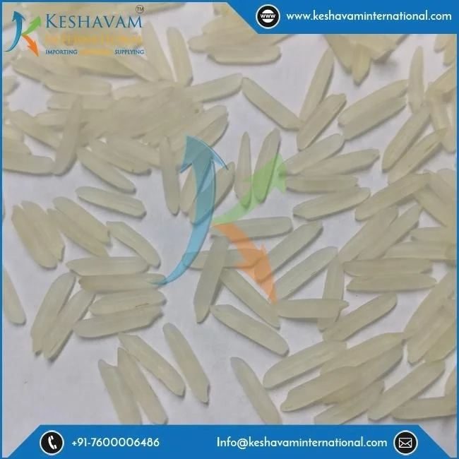 Indian White Sella Basmati Rice Exporter