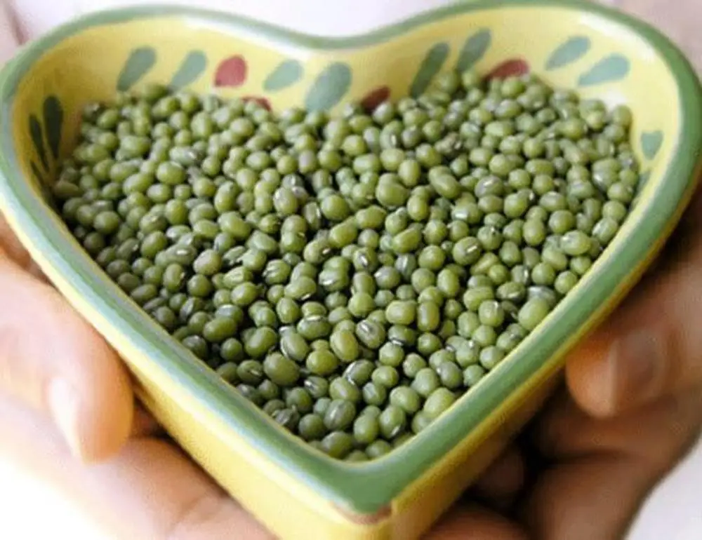Bulk mung beans for sale / Green mung bean