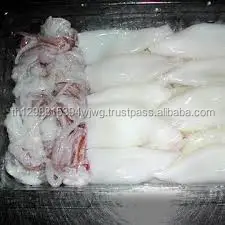 Полностью очищенный круглый замороженный кальмар/замороженный круглый детский кальмар