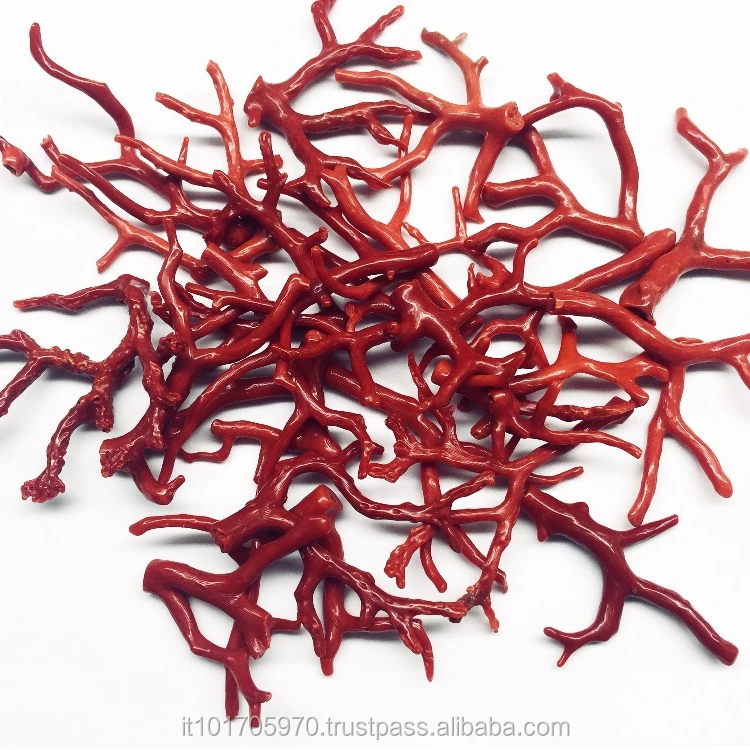 Лучшее качество, все размеры, красные итальянские полированные ветви кораллового цвета