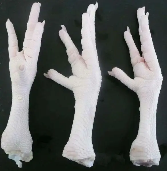 Halal Grade (A) Chicken Paws / Frozen Chicken Feet from Brazil for Asia