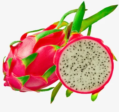 
High Quality Fresh Dragon Fruit/ Mekong Herbals 