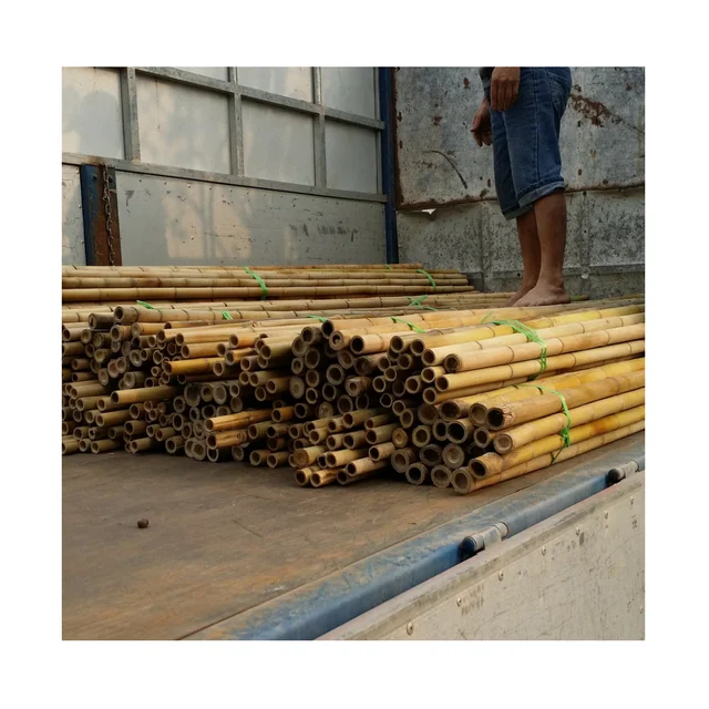 HOT SALE bamboo poles with the best price