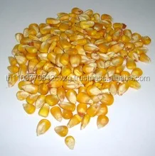 Желтый кукурузный желтый продукт из