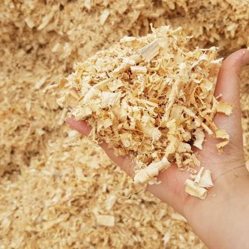 WOOD SHAVINGS / ACACIA / PINE WOOD SHAVINGS FOR HORSE BEDDING WHATSAPP: +84 911406611