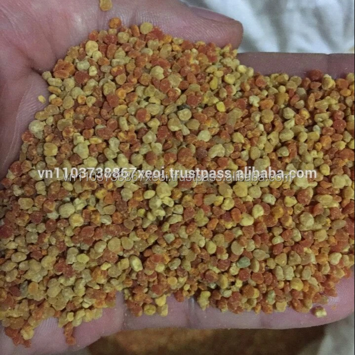 ORGANIC BEE POLLEN 2020/Whatsapp +84 845 639 639
