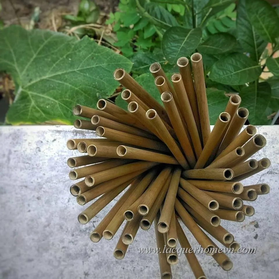 20cm bamboo straws biobased edible straws 100% natural bamboo drinking straws