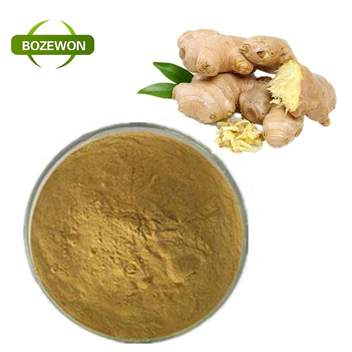 hot sell water soluble Rhodiola Rosea Extract powder with ISO