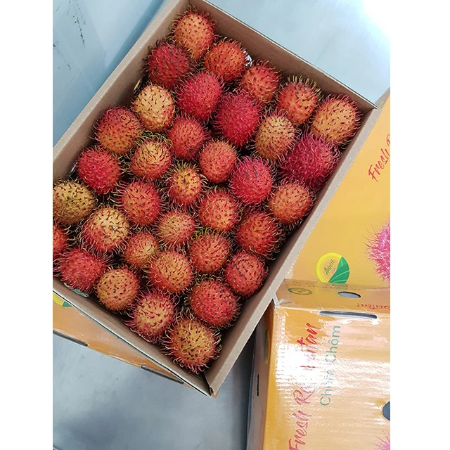 LOW PRICE LOGAN RAMBUTAN FROM VIET NAM