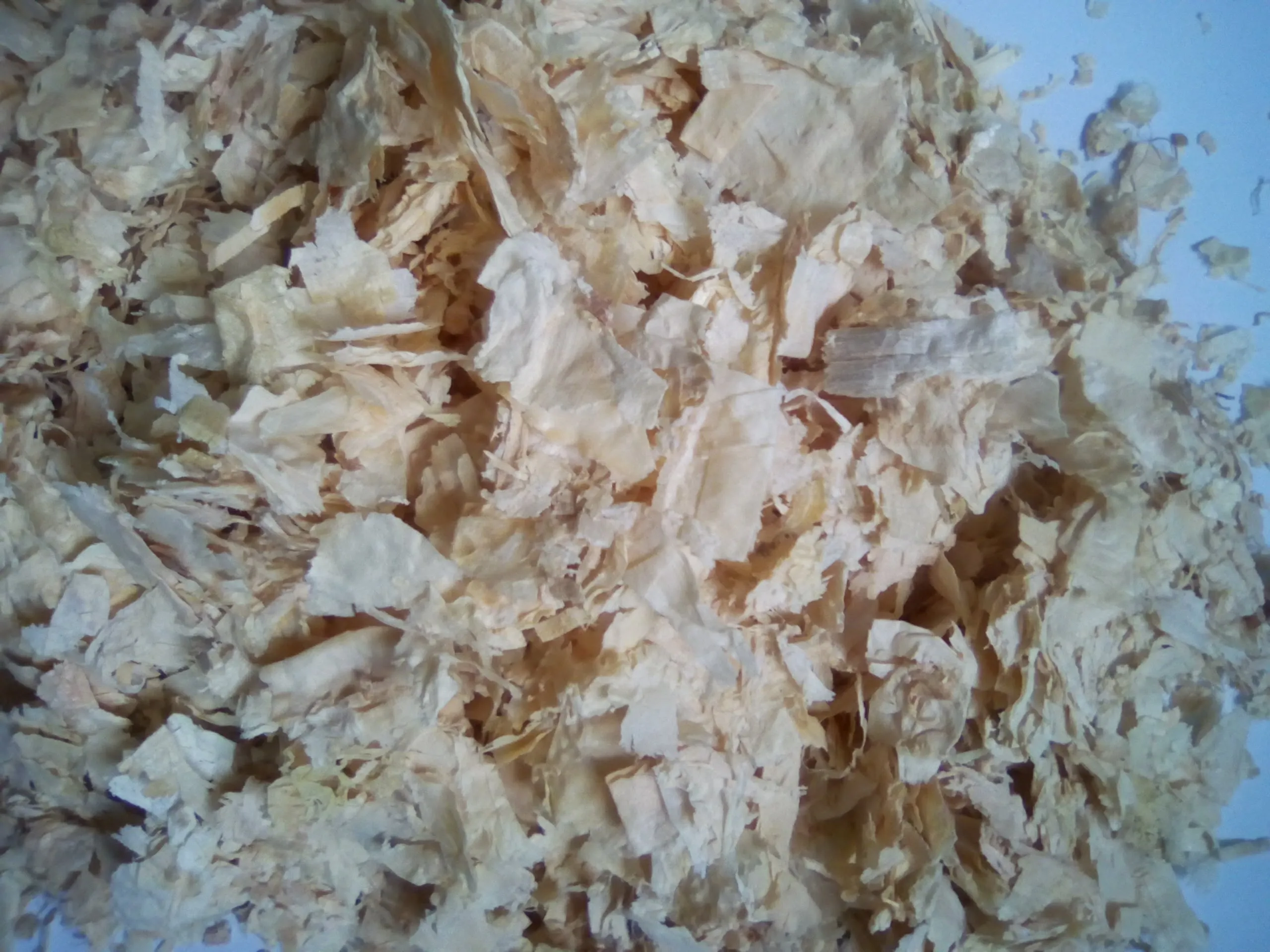 Wood Shavings for Poultry Bedding - Horse