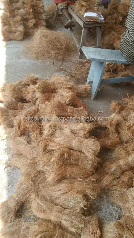 Coconut Coir Bristle Fiber