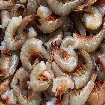 Pacific white shrimp for sale
