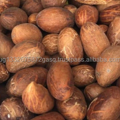 Premium Quality bitter kola (garcinia nut)/ Bitter kola nuts