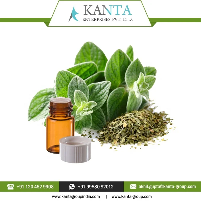 Private Label OEM / ODM 100% Pure Oregano Essential Oil with Best Quality at Wholesale Price from Indian Supplier