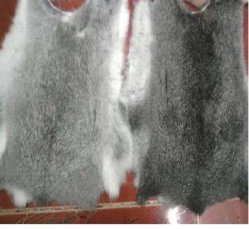 Rabbit Skin Pelt High Quality Soft Skin Up to 45 cm Length In All Natural Colors