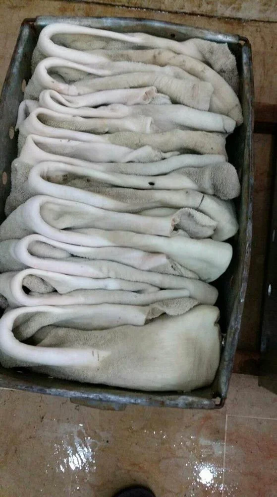 Beef Frozen Tripe Wholesale Prices Beef Meat Tripe