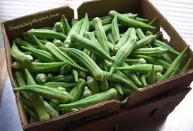 Viet Nam high quality okra/ cheap frozen okra ( MS.HOLIDAY whatsapp +84 845 639 639)