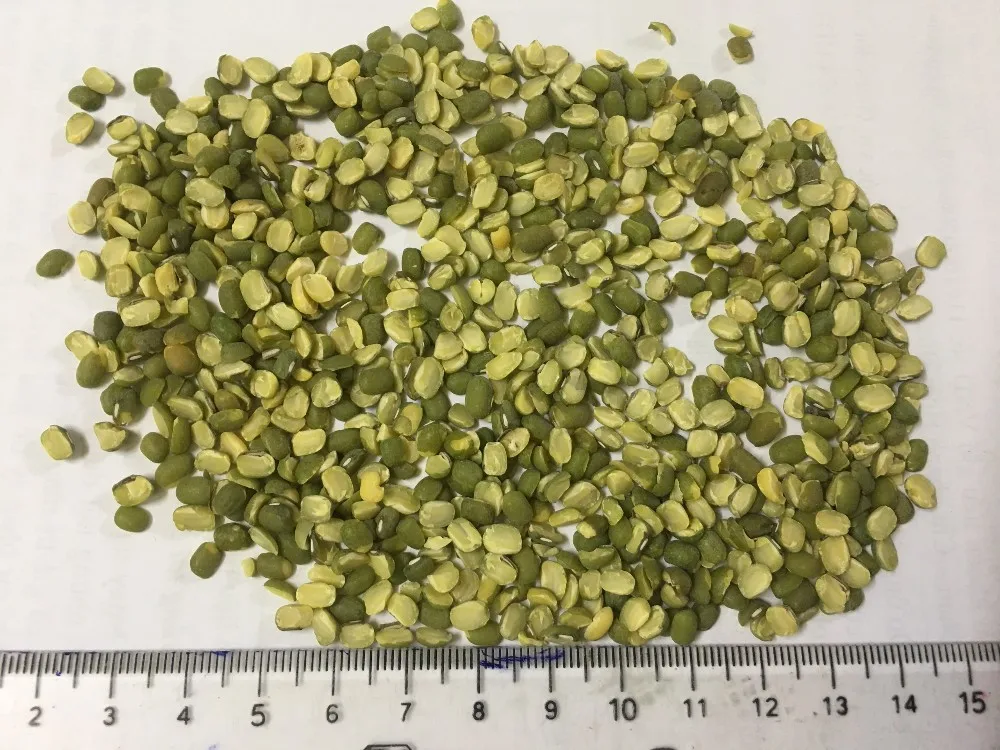 
VIETNAM GREEN MUNG BEAN 2019 
