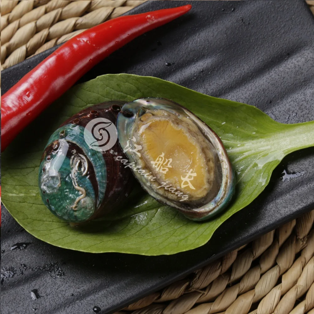 
GUTTING FROZEN ABALONE IN SHELL 40-50g/PCS 
