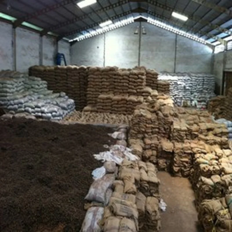 
CASHEW/CASHEW NUTS/WW240/WW320/GRADE A/HIGH QUALITY 