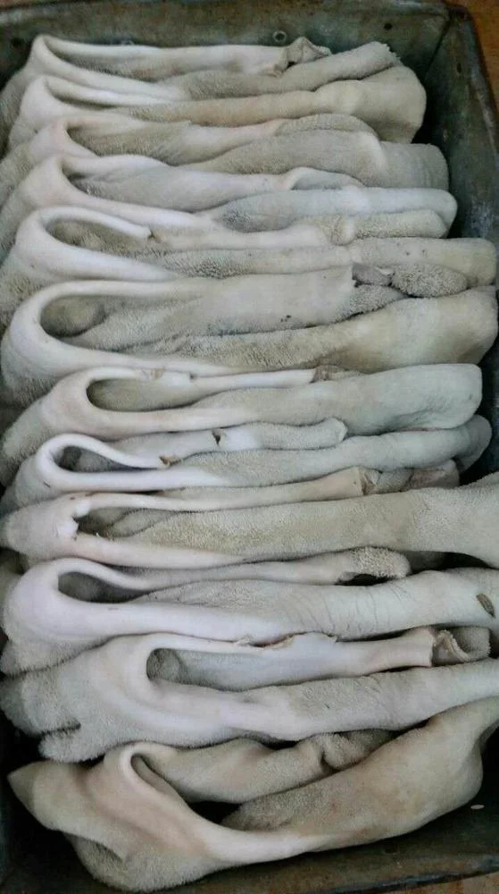 Tripe /  Beef Tripe / Frozen Halal Beef Meat Tripe from Pakistan