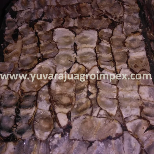 Бессаженные экспортеры тамаринда из Индии в Мексику/Доминиканскую Республику/Объединенные Арабские Эмираты