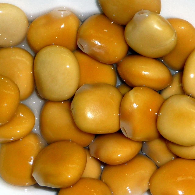 Бобы Lupins по низкой цене для продажи из