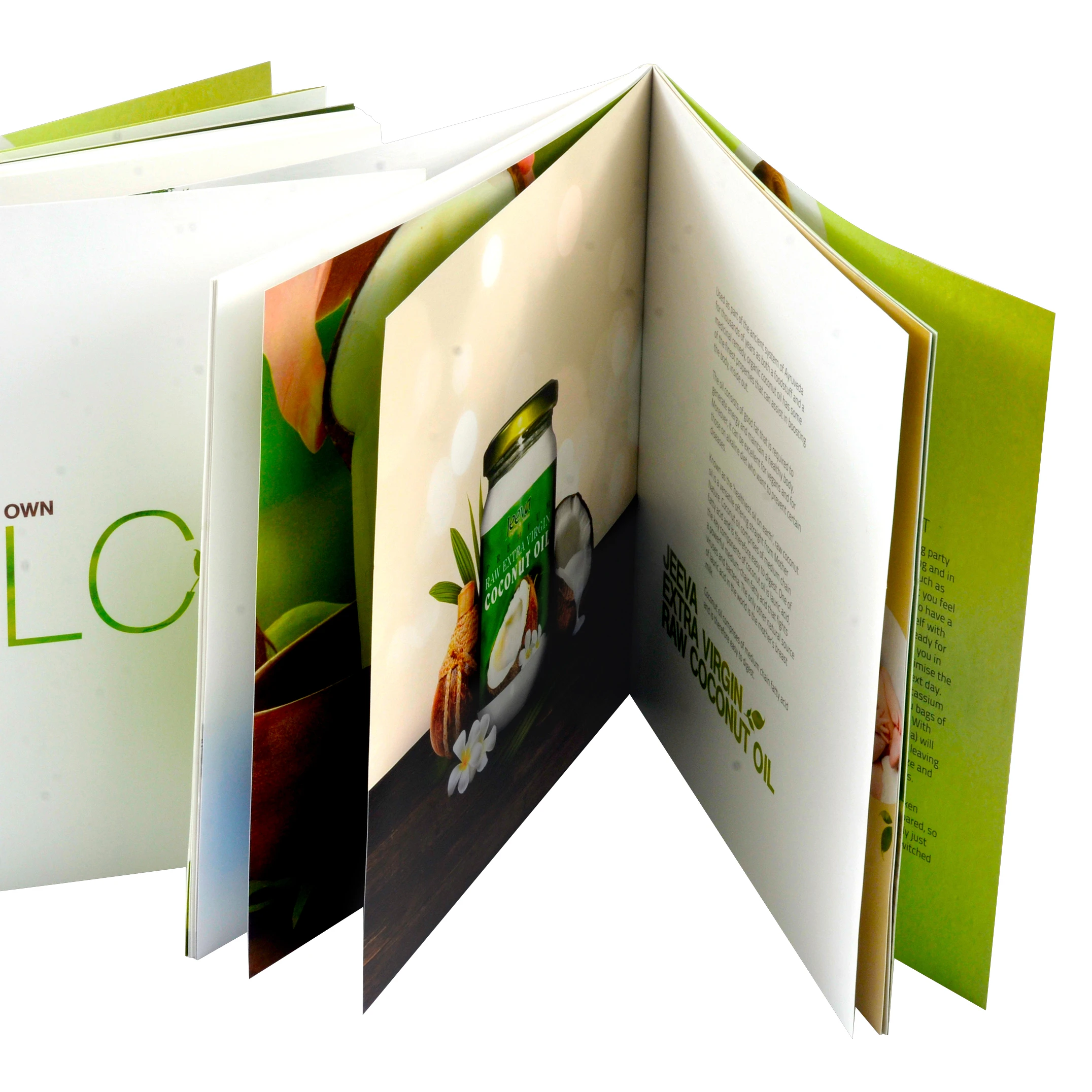 Folder / Flyer / Booklet / Best Quality Cheap Brochure Printing
