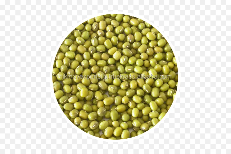 
MUNG BEANS ORIGIN INDIA FROM NIK-MAY EXPORTS LLP 
